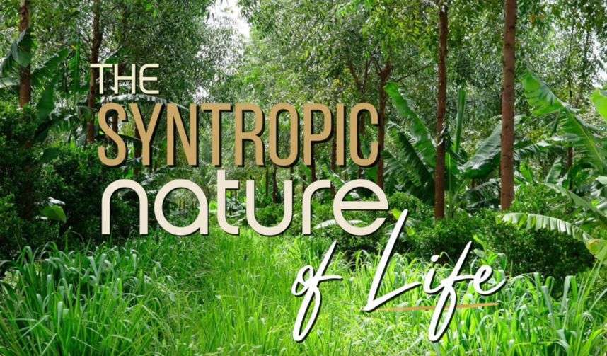 The Syntropic Nature of Life title card set over a photograph of dense green forest planting.