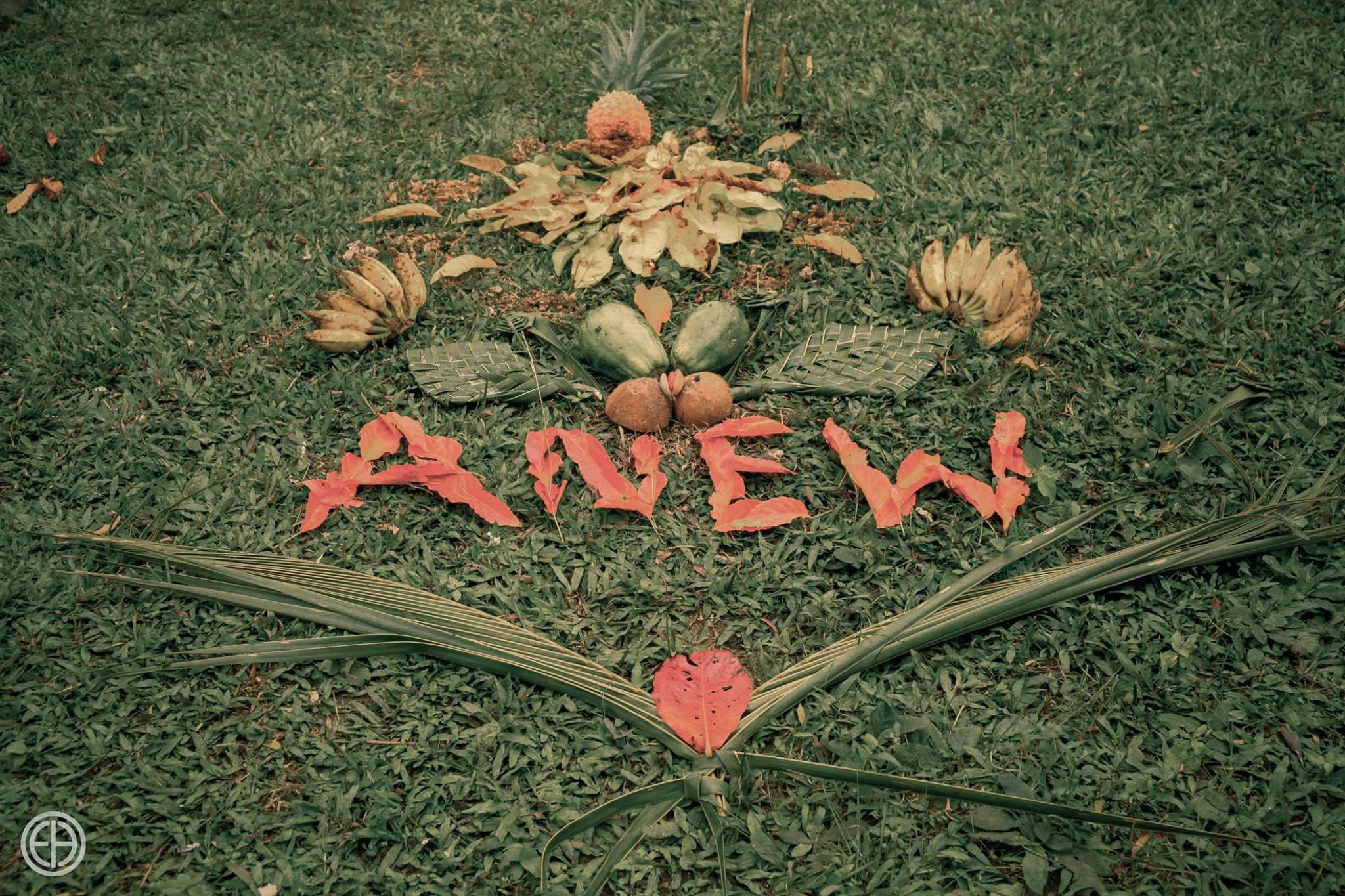 The word Anew laid out on grass in flowers, leaves and seed pods, with a heart shape formed beneath it in red petals.