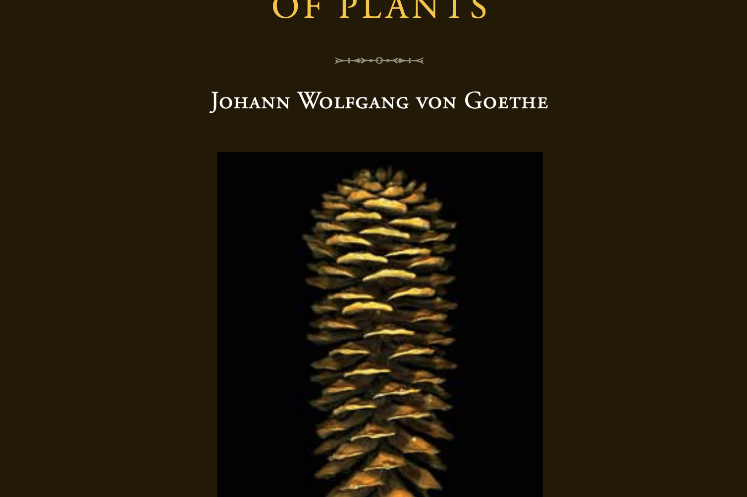 Cover image for 