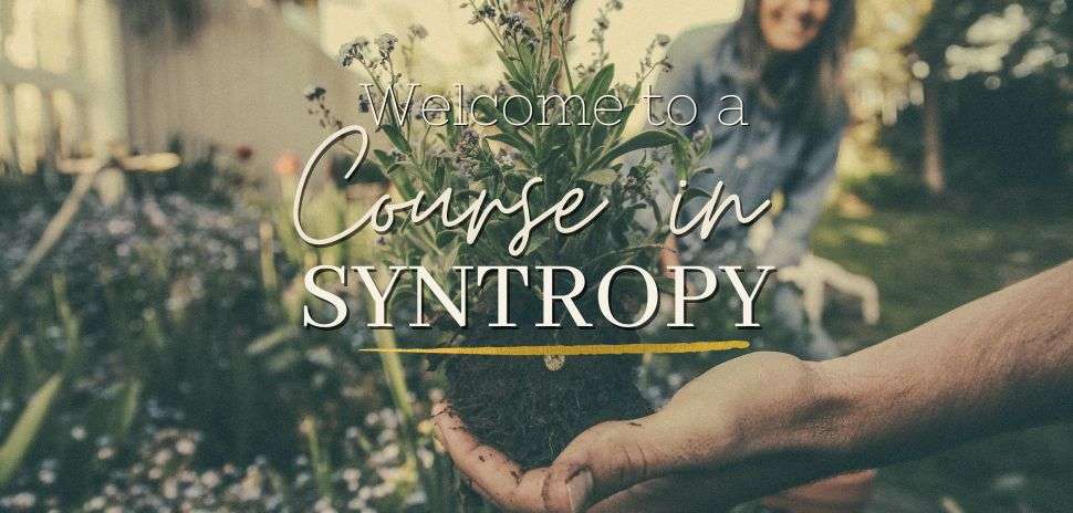 Welcome to a Course in Syntropy, over hands holding a seedling in soil