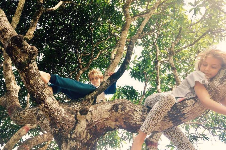 A young child climbing in a sunlit tree with a peacock perched on a branch below.